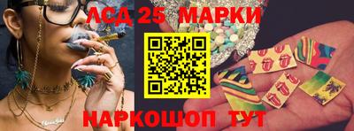 гидропоника Можайск