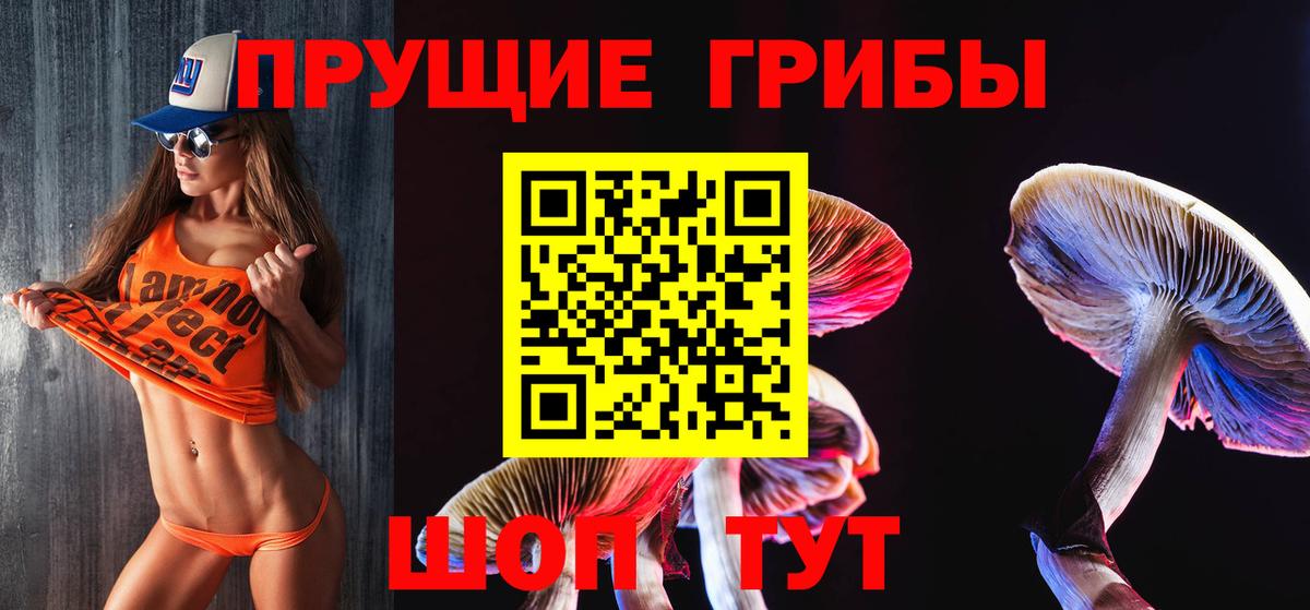 Псилоцибиновые грибы Cubensis Алексеевка