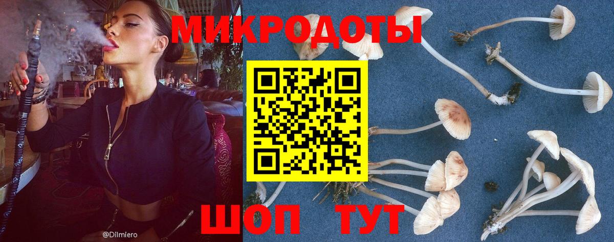 Псилоцибиновые грибы прущие грибы  Вход с VPN  Алексеевка 