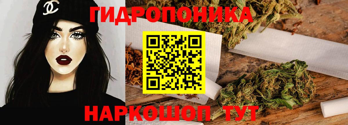 Конопля сатива Алексеевка